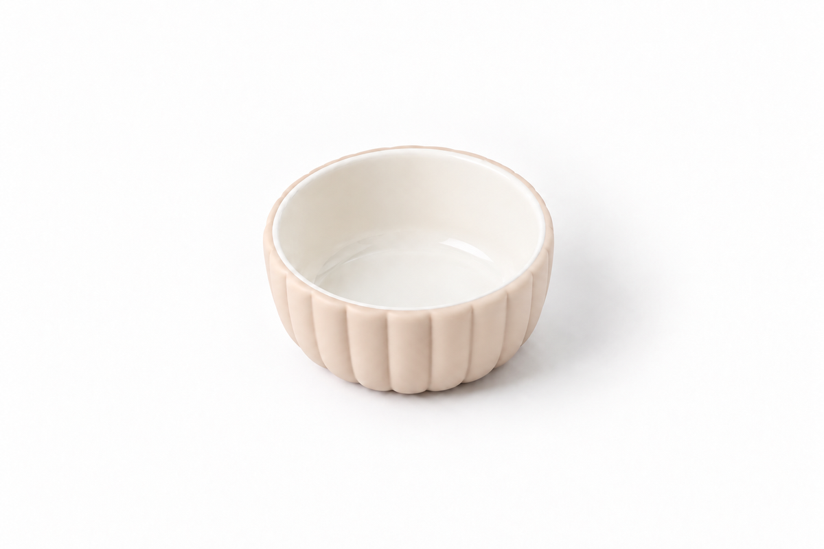 Ciotola in ceramica + base in silicone