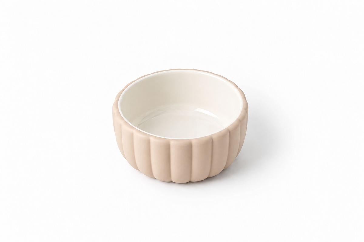 Ciotola in ceramica + base in silicone