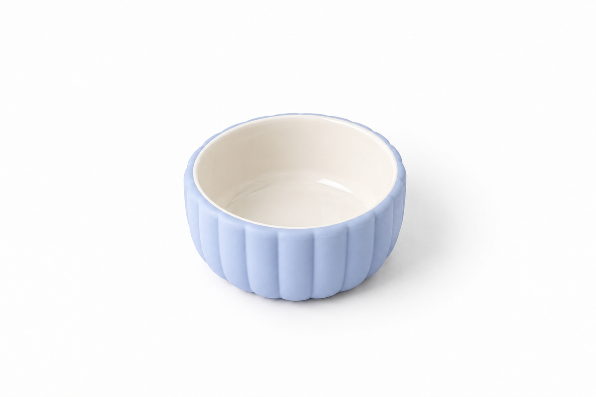 Ciotola in ceramica + base in silicone