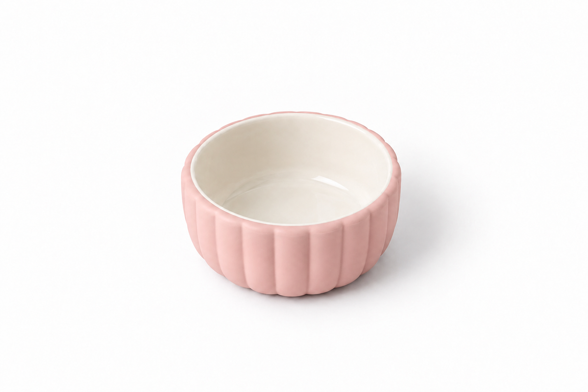 Ciotola in ceramica + base in silicone